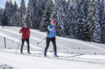 Abstände lassen sich in der Loipe leicht einhalten.