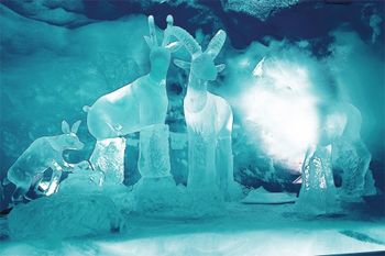 Explore the fairytale world of snow and ice at the glacier palace.
