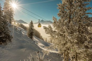 Das neue Skigebiet soll von Meiringen bis Engelberg reichen.