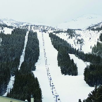 Castle Mountain ski resort is run by local ski enthusiasts.
