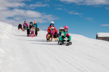 In Brigels und Waltensburg warten gleich mehrere Rodelbahnen.