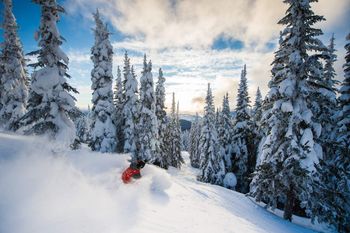Tree-Skiing im Skigebiet Silver Star in den kanadischen Rocky Mountains.