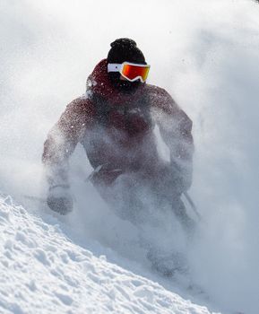 Immer in Action mit Candide.