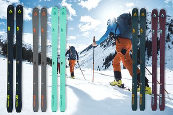 Den Transalp 86 CTI und den Transalp 84 C gibt es jeweils in zwei Farbvarianten.