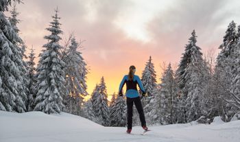 Eine tief verschneite Landschaft erwartet Langläufer im Bayerischen Wald.