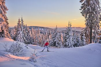 Die Loipen im Arberland rund um Bodenmais sind ein Traum für jeden Langläufer.