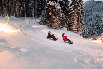 Ein Abenteuer für die ganze Familie: die Naturrodelbahn Aeroplan in Gastein