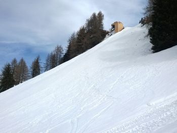 Die Mausefalle auf der Streif