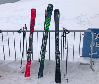 Den Voyager gibt es in Pink, Grün und Schwarz.