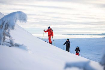 Powdern mit der neuen BEC DE ROSSES Kollektion von Elevenate.
