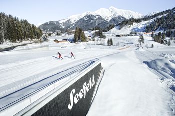 Die Nordische Ski WM 2019 findet in Seefeld und Innsbruck statt.