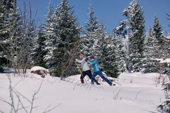 Die Ski der Twin Skin Sport Kollektion eignen sich für nahezu jedes Langlauf-Level.