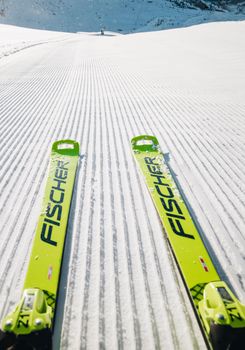 Meister der Präzision und Wendigkeit: Die Fischer RC4 Worldcup Modelle.