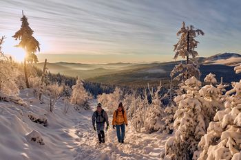 Erkunde den Arber am besten auch zu Fuß.