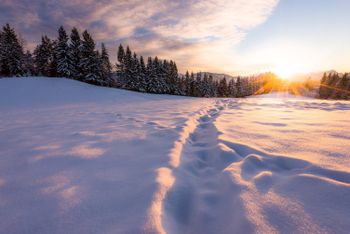 Mit der Übersichtsseite und dem E-Magazin erhältst du alle Infos, die du für deinen Winterurlaub brauchst.