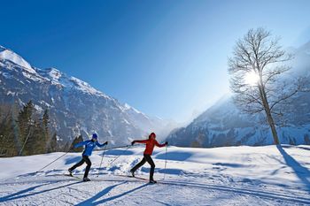 Beim nordischen Skisport werden rund 90 Prozent aller Muskeln beansprucht.