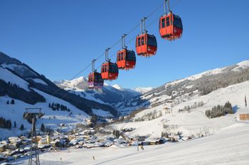 Wegen ihrer feuerroten Farbe und ihrer ungewöhnlichen Gruppenform war die alte Kohlmaisbahn ein markantes Kennzeichen in Saalbach.