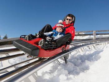 Meran 2000: Mit über 40 km/h geht es im Alpin Bob nach unten.