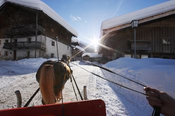 Herrlich entspannend: Eine Pferdeschlittenfahrt durch die Winterlandschaft rund um Pfelders.