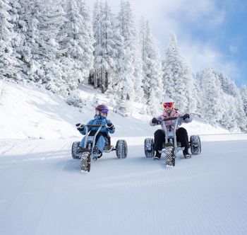 Mit speziell entwickelten Mountaincarts geht es rasant über die frisch präparierten Pisten des Fulsecks ins Tal.