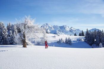 Attraktive Leistungen für einen tollen Winterurlaub in Innsbruck bekommst du auch mit der Welcome Card!