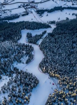 Die Gran Risa führt malerisch durch einen dichten Wald hindurch.