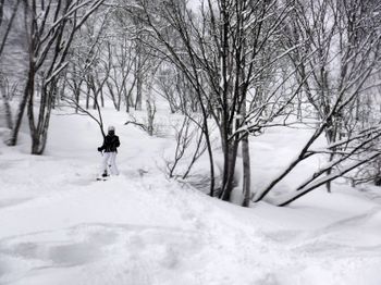 Freeride-Ski sind bei den vielen Möglichkeiten abseits der Piste eigentlich ein Muss.