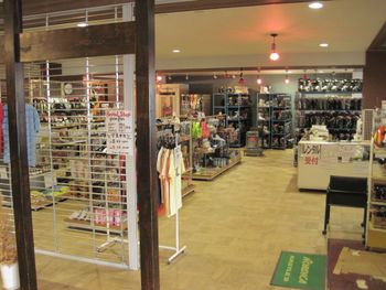 Ski hire is widely available in the major resorts