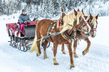 Entdecke die vielfältigen Wintererlebnisse in Flachau.