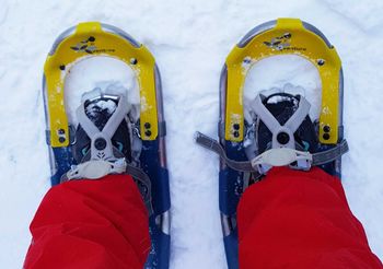 For snowshoeing you need waterproof shoes with a solid sole.
