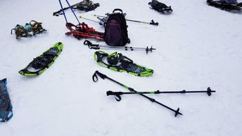 Telescopic poles are perfect for snowshoeing.