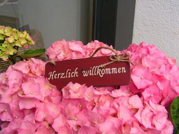 General information about your stay at Alpina Appartements