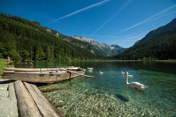 General information about your stay at Aparthotel Steger