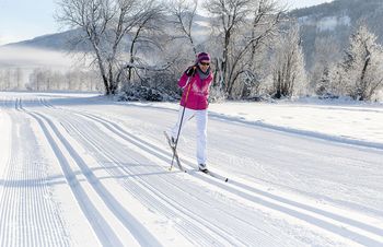 General information about your stay at Appartement Wildkogel