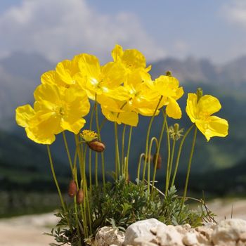 General information about your stay at Residence Tombla