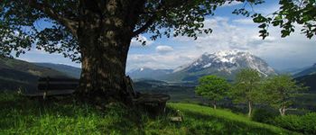 Detaillierte Infos zur Unterkunft Bio- Bauernhof Vorderbärnau