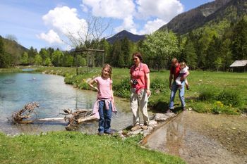 Detaillierte Infos zur Unterkunft Alpenpension Birkenhof