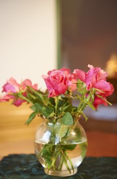 Detaillierte Infos zur Unterkunft Aparthotel Paradies