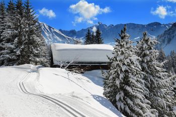 Detaillierte Infos zur Unterkunft Appartementhaus Luisa