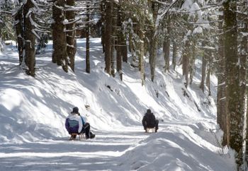 Detaillierte Infos zur Unterkunft Arabella Alpenhotel am Spitzingsee