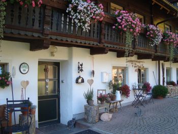 Biobauernhof Auerhof in der Region Schladming- Dachstein