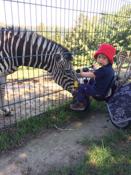 Tierpark Altenfelden