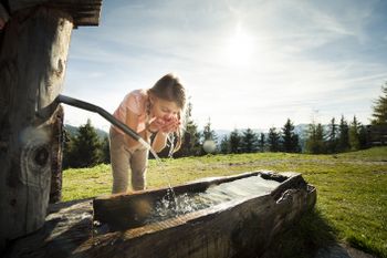Detaillierte Infos zur Unterkunft Berggasthof Platzlalm