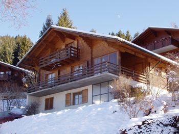 Detaillierte Infos zur Unterkunft Chalet Spicher