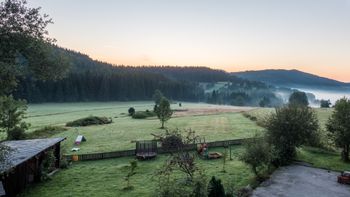 Hundewiese; Bärenhof