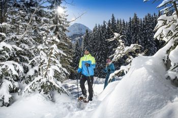 Winterwandern am Achensee