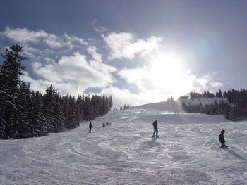 Detaillierte Infos zur Unterkunft Ferienhaus Hirterhütte Familie Gsenger Dachstein-West