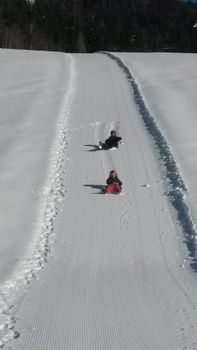 Kinder auf der Rutschbahn