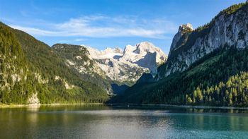 Detaillierte Infos zur Unterkunft Gasthof Waldwirt