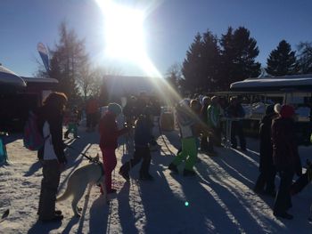 Detaillierte Infos zur Unterkunft Harmonie Hotel Rust